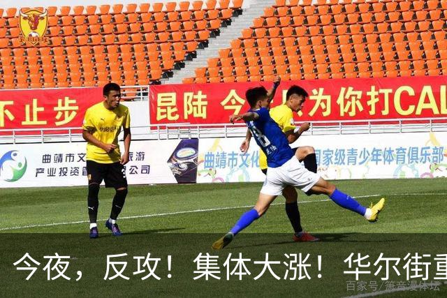 今夜，反攻！集体大涨！华尔街重磅发声，AI暴跌虚惊一场？
