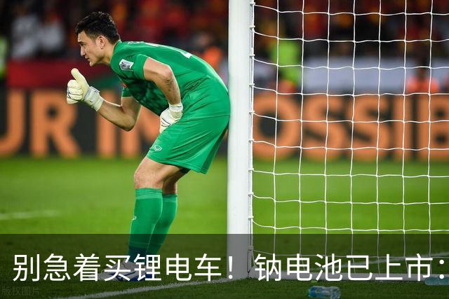 别急着买锂电车！钠电池已上市：5年质保，同容量还便宜大几百